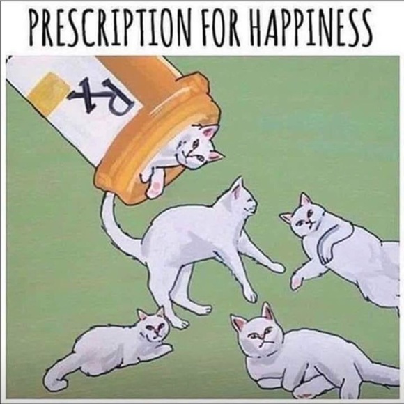 Meet your Posher, Susan - Picture 5 of 6